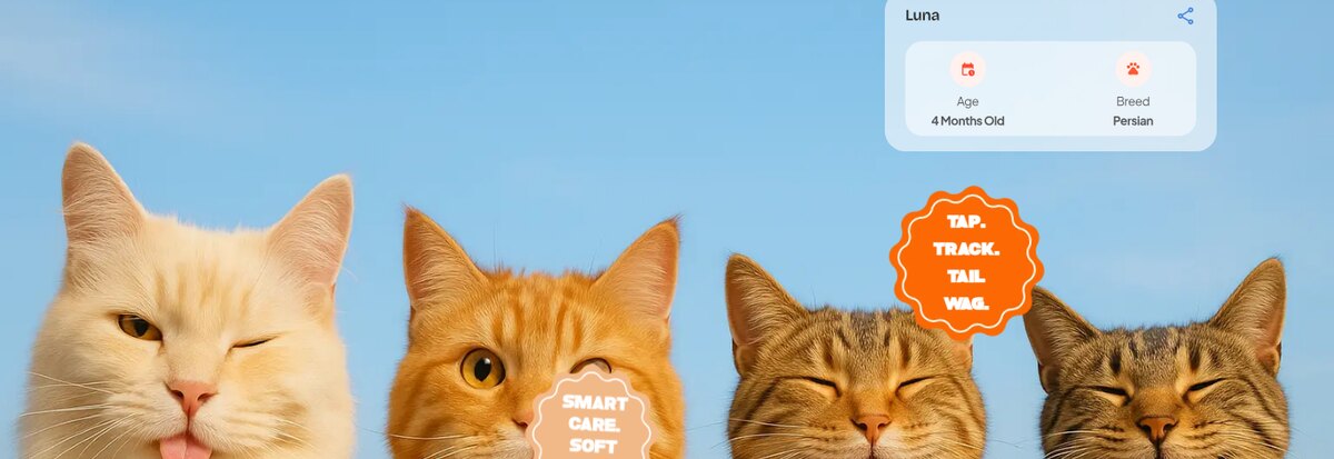 Clawkin website